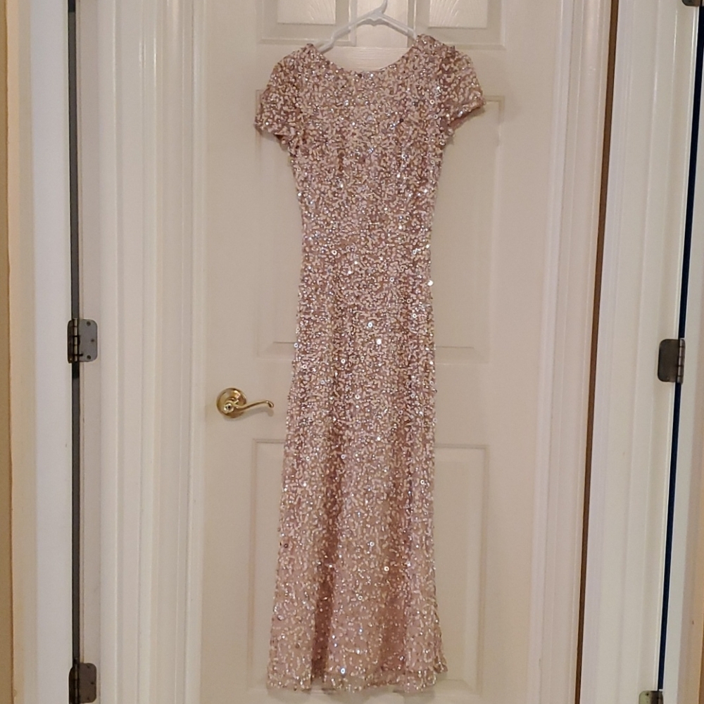 Adrianna Papell long dress. Size 2. Rose color.